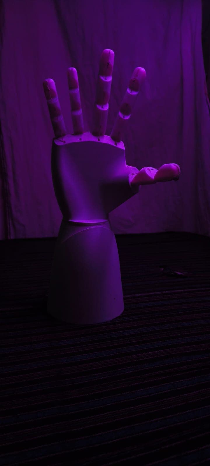 Articulated Bionic Robotic Hand