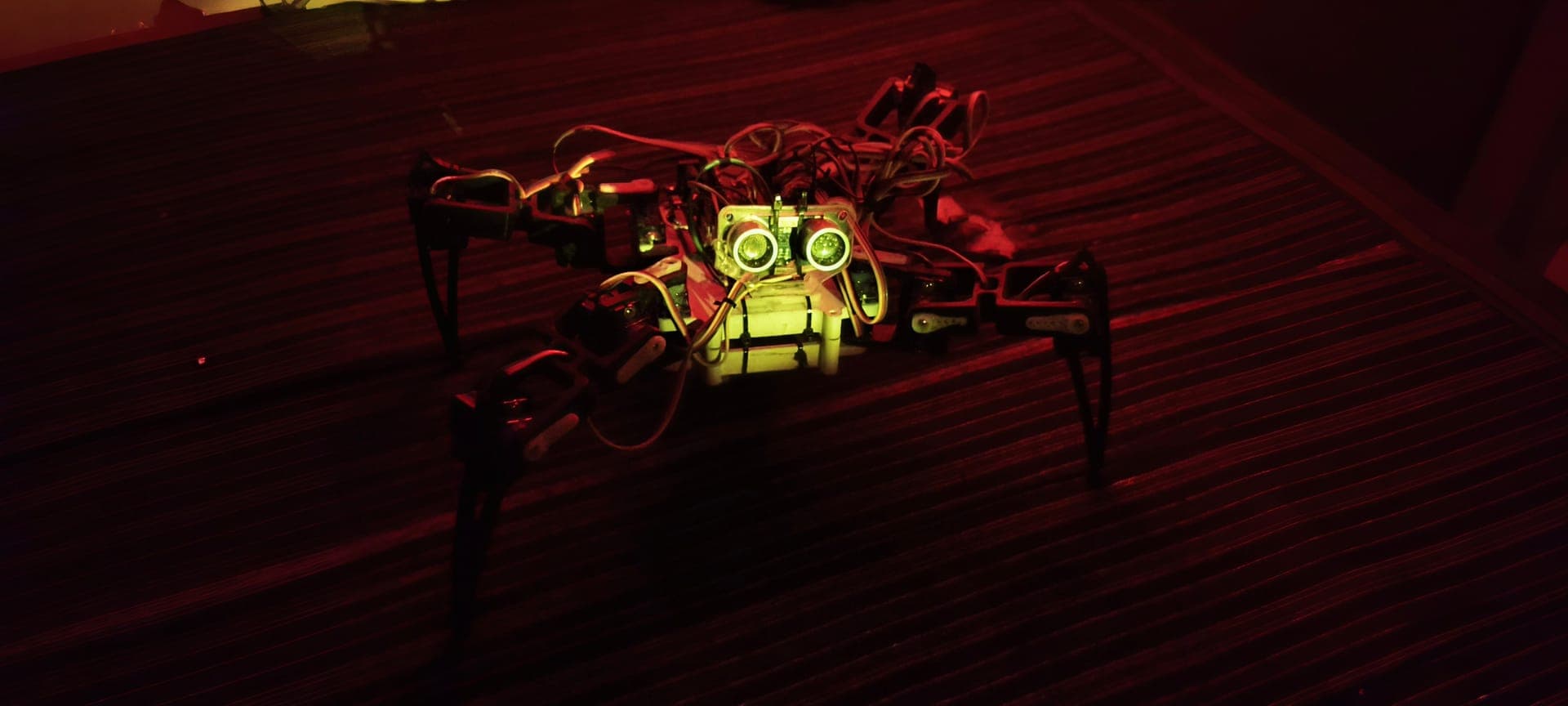 Hexapod Spider Robot