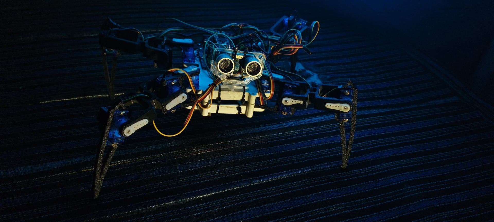 12-DOF hexapod spider robot 3D printed frame