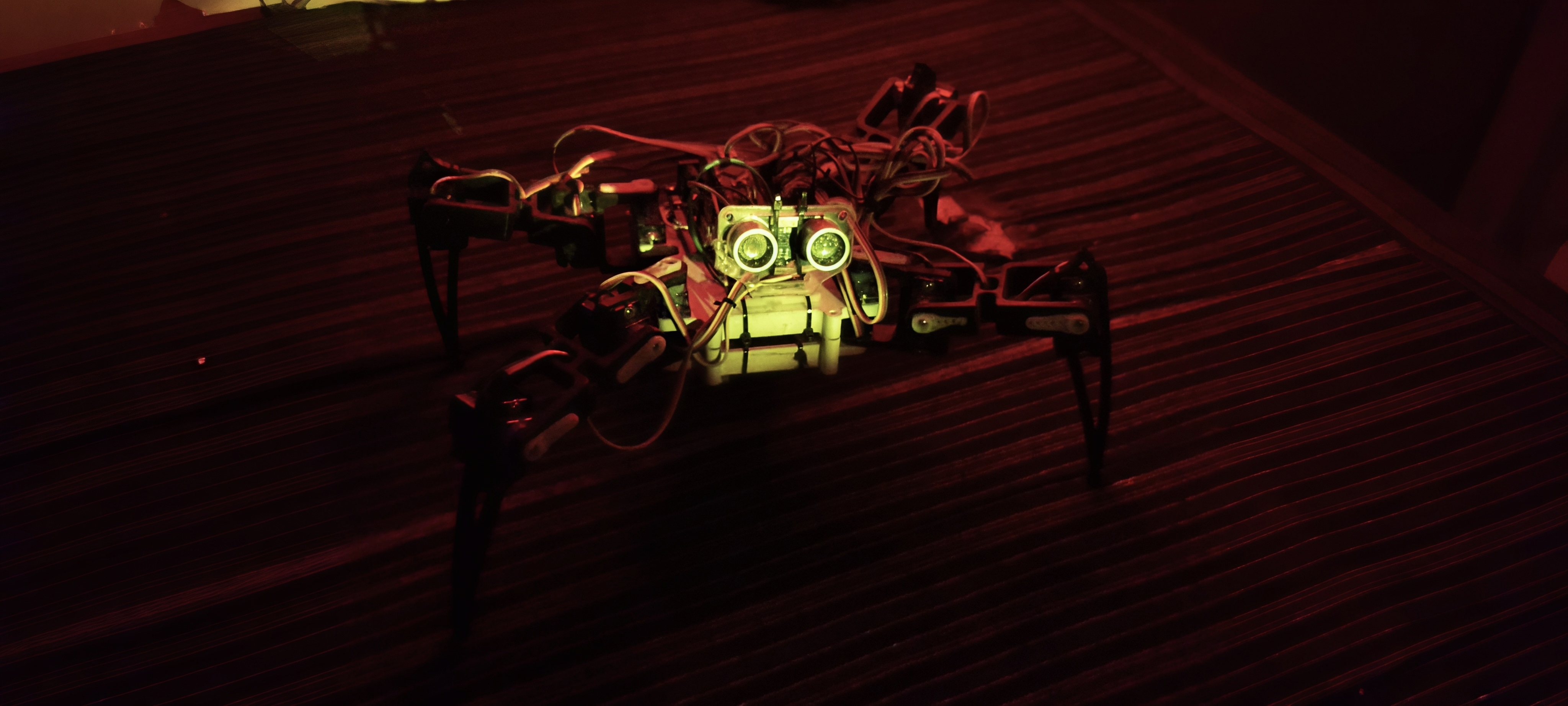 Hexapod Spider Robot
